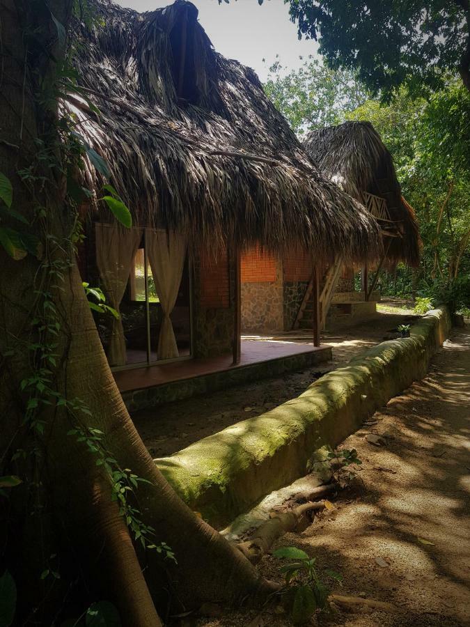 Origen Hostel エル・ザイノ エクステリア 写真